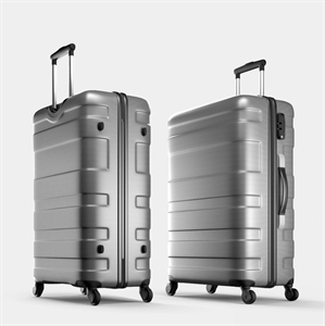 Suitcase PASADENA